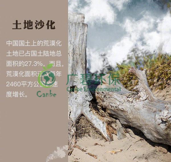 世界地球日 我們能為地球做些什么？(圖4)