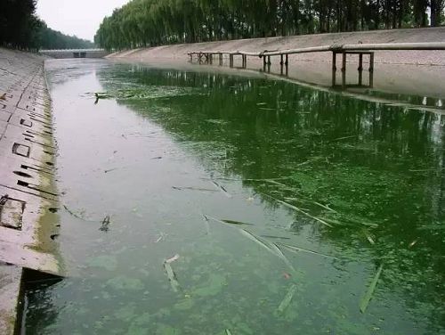 城市黑臭河道如何治理？河道黑臭水體治理思路(圖1)