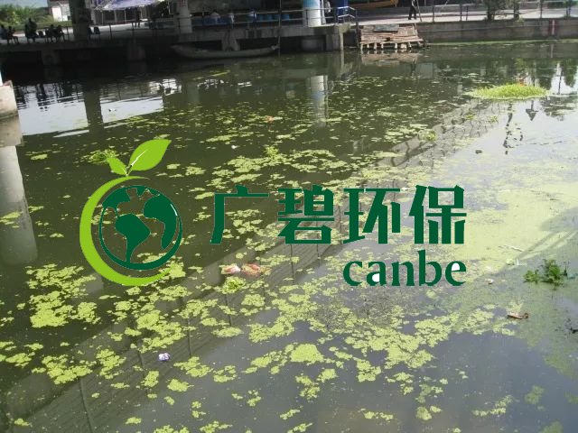 城市黑臭河道如何治理？河道黑臭水體治理思路(圖3)