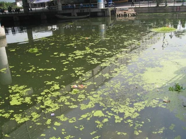 城市黑臭河道如何治理？河道黑臭水體治理思路