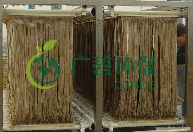 MBR污泥膨脹怎么處理？污泥膨脹的處理方法(圖1)