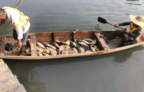 廣州旺旺食品廢水直排，永和河大量魚類死亡