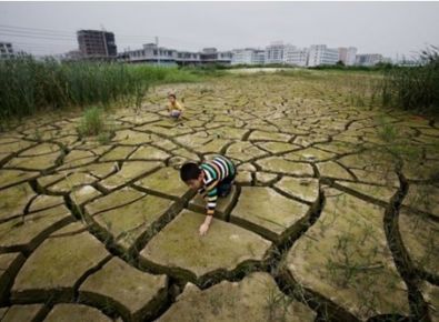 【世界土壤日】《土壤污染防治法》有哪些亮點？