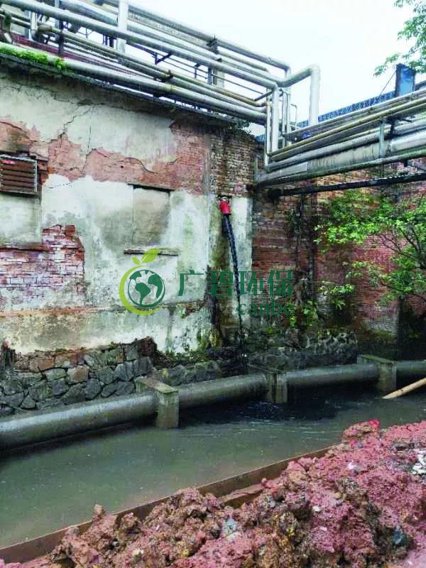 廣州海珠有污水直排河涌，3名涉案人員被行政拘留(圖1)