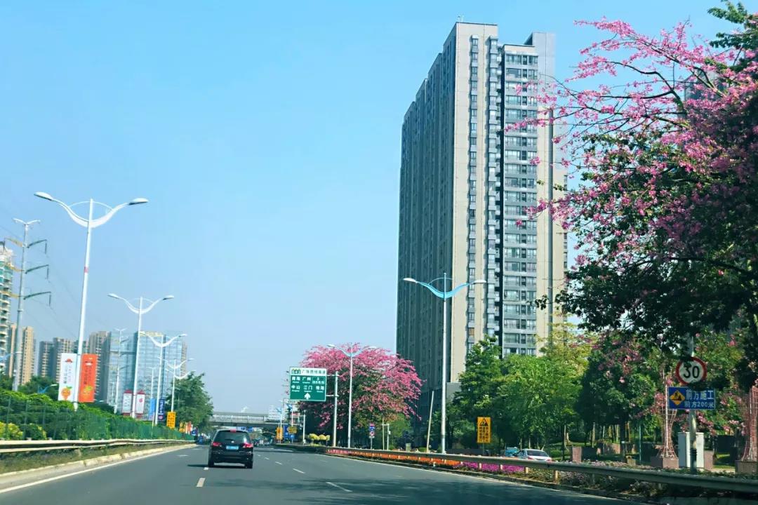 環(huán)境部印發(fā)《規(guī)劃環(huán)評技術(shù)導(dǎo)則 總綱》，項目環(huán)評部分章節(jié)可簡化